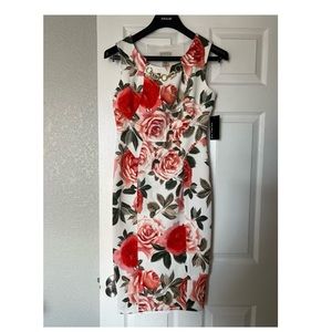 NWT En Focus studio floral dress